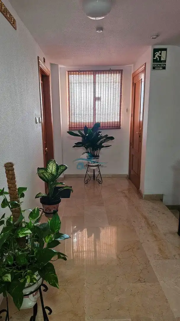 Appartamento con ascensore in affitto a Avenida del Ajedrez, imagen 18