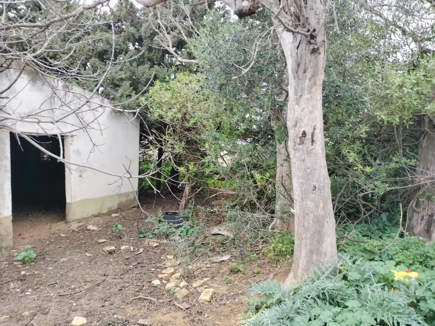 Terrenys i solars en venda a Pelagatos - Pago del Humo, imagen 16