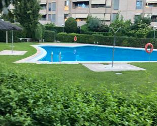 Swimming pool of Flat to rent in  Valencia Capital  with Air Conditioner and Balcony