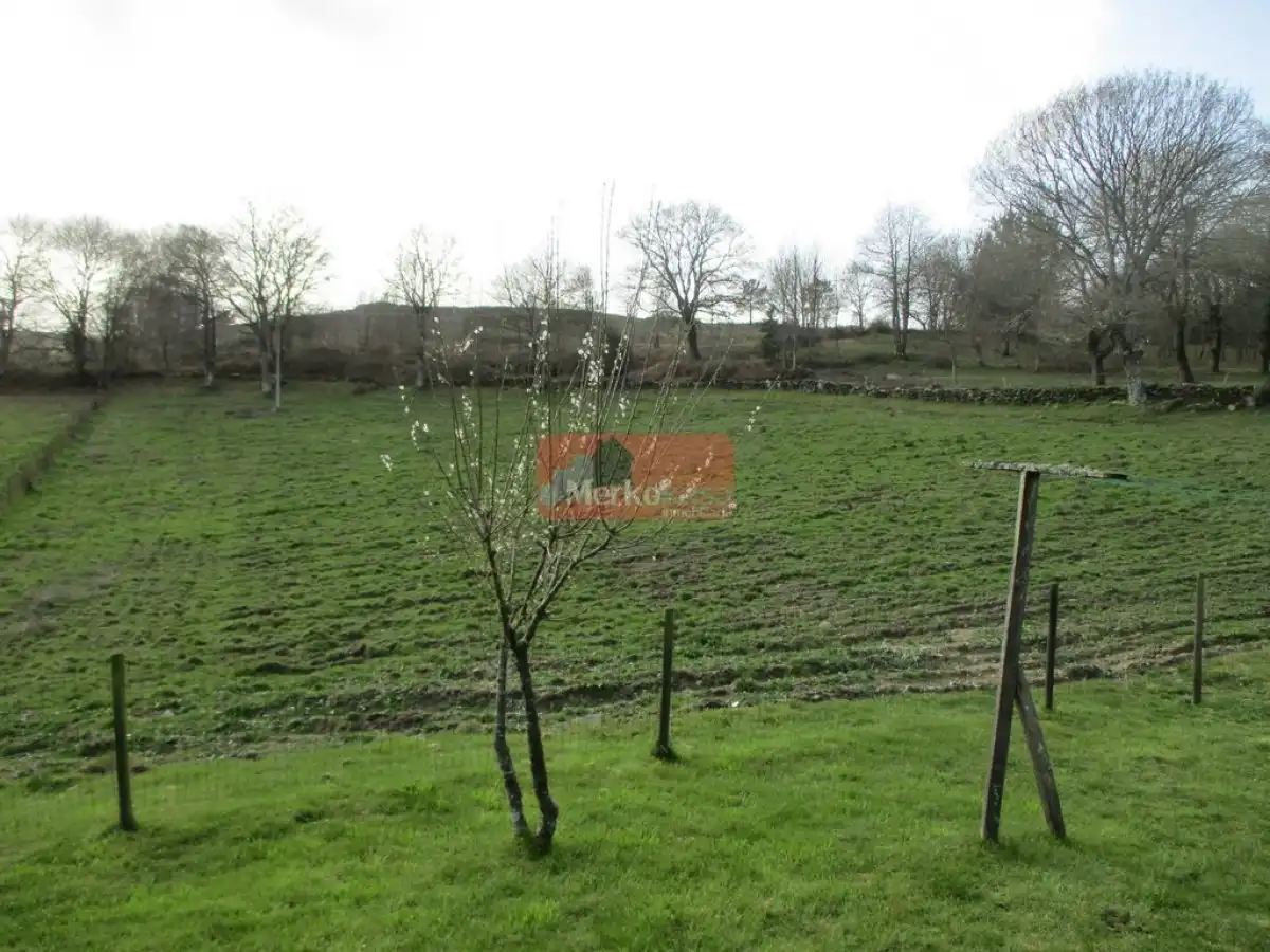 Finca rústica en venda a Friol