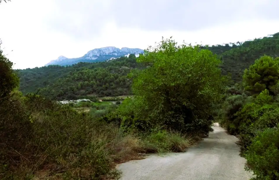 Terreny rústic en venda a Avenida Monte Pego-Dénia