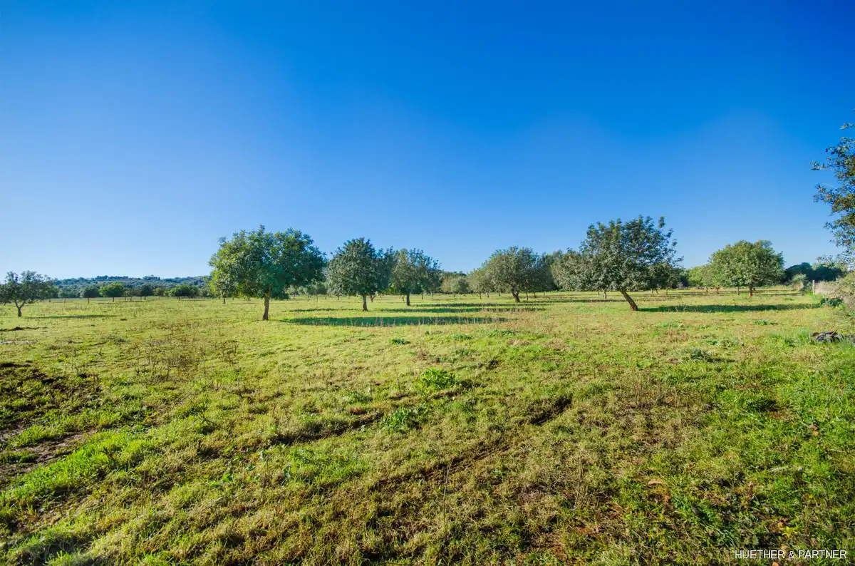 Wohnbaugrundstück zum Verkauf in Manacor Centre, imagen 11