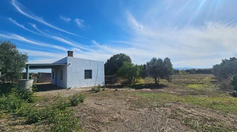 Foto 3 de Finca rústica en venda a Lebrija, Sevilla