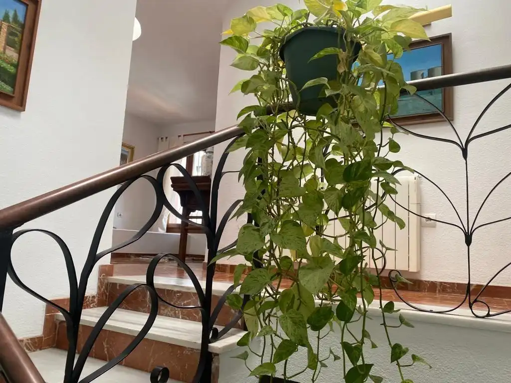 Chalet con piscina en venta en Calle Aceituno, imagen 30