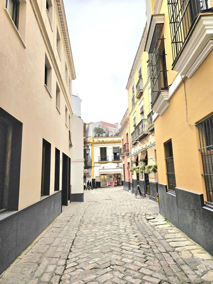 Vista exterior de Casa o chalet en venta en Sevilla con Aire acondicionado, Calefacción y Terraza