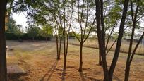 House or chalet for sale in Del Fresno, Villar de Cañas, imagen 2