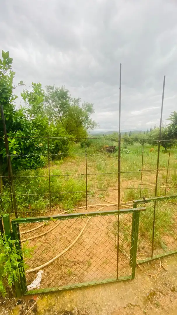 Terreny rústic en venda a La Bisbal d'Empordà, imagen 3