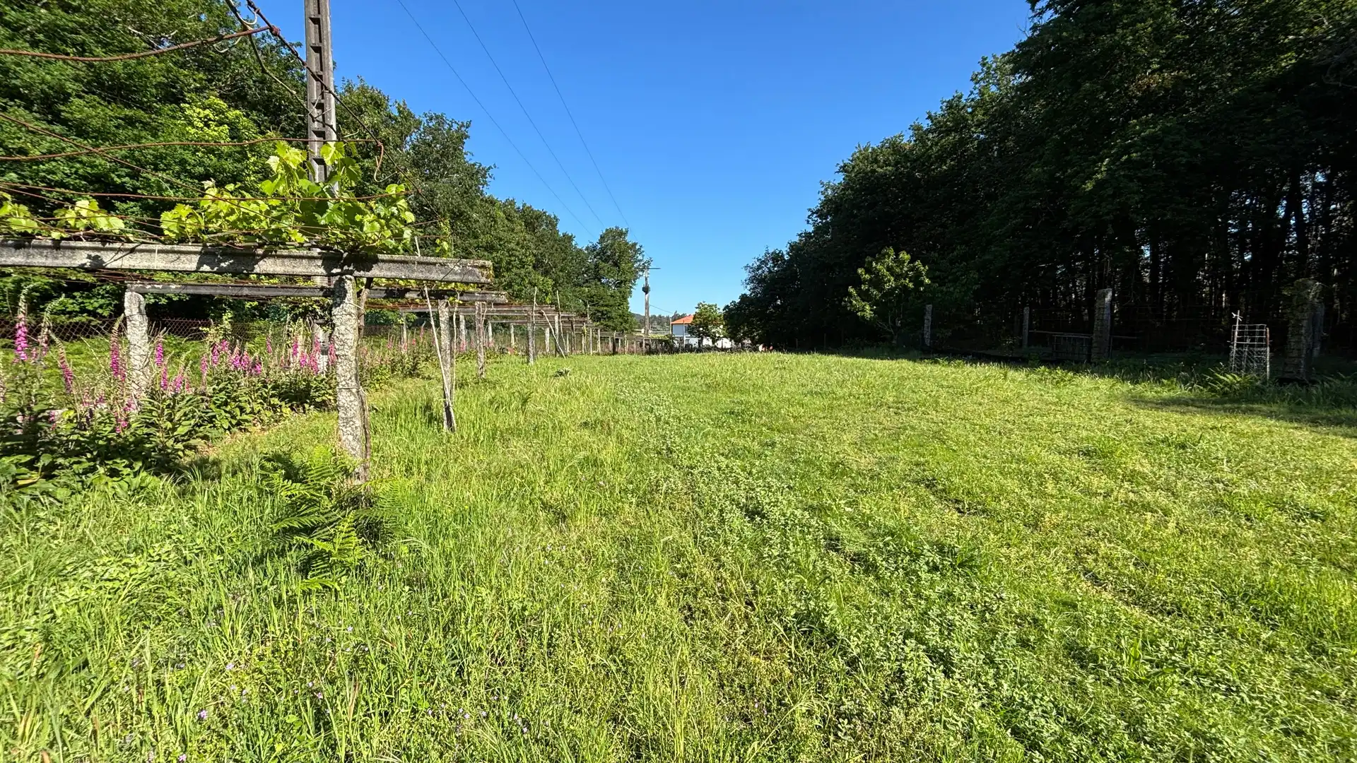 Residential for sale in Cuntis