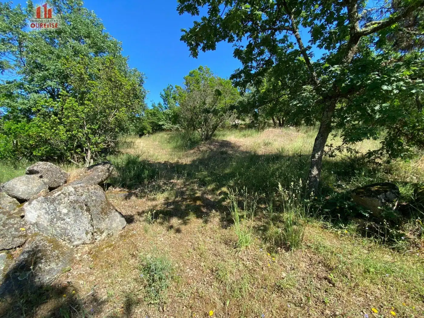 Terreni e lotti in vendita a Ventiun, imagen 6