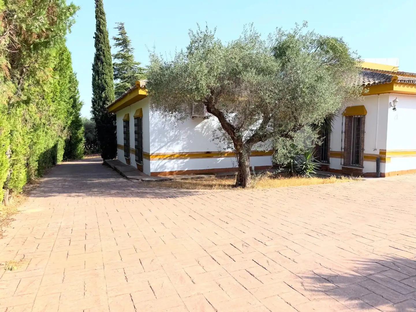 Chalet con piscina en venta en Palomares del Río, imagen 22