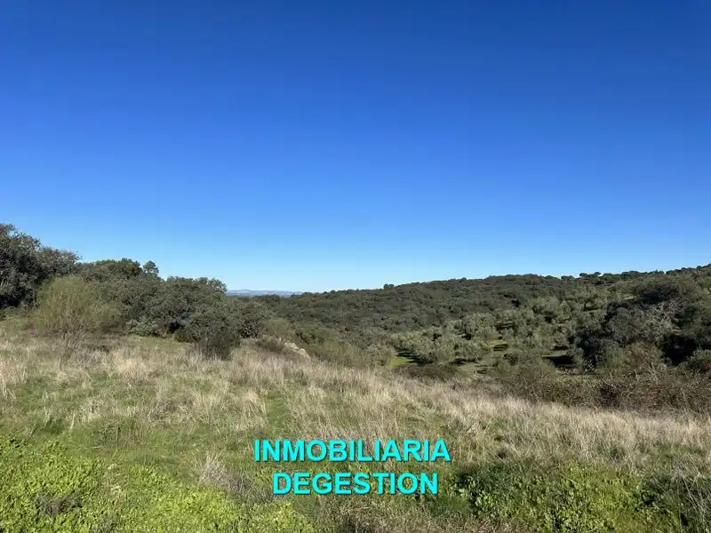 Terreni e lotti in vendita a Andújar, imagen 26