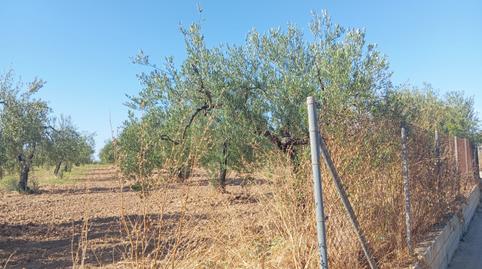 Foto 3 de Residencial en venda a Ramal de Espartinas, Sevilla