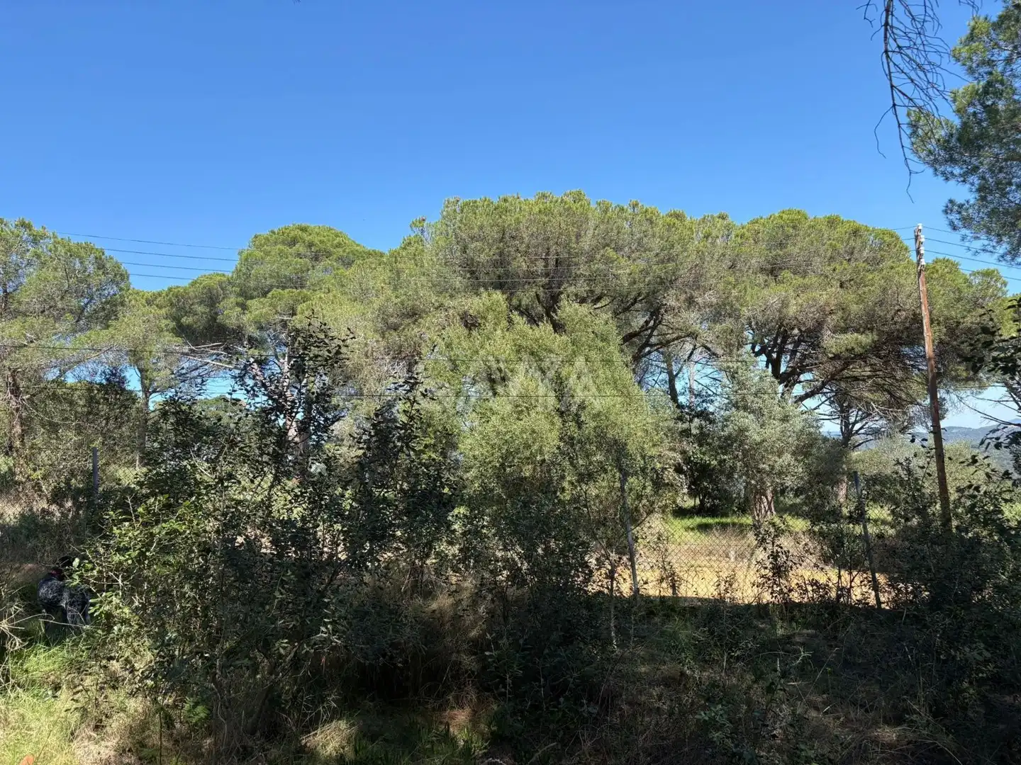 Grundstücke zum Verkauf in Sant Vicenç de Montalt