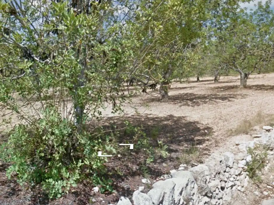Grundstücke zur Miete in La Pobla de Montornès  