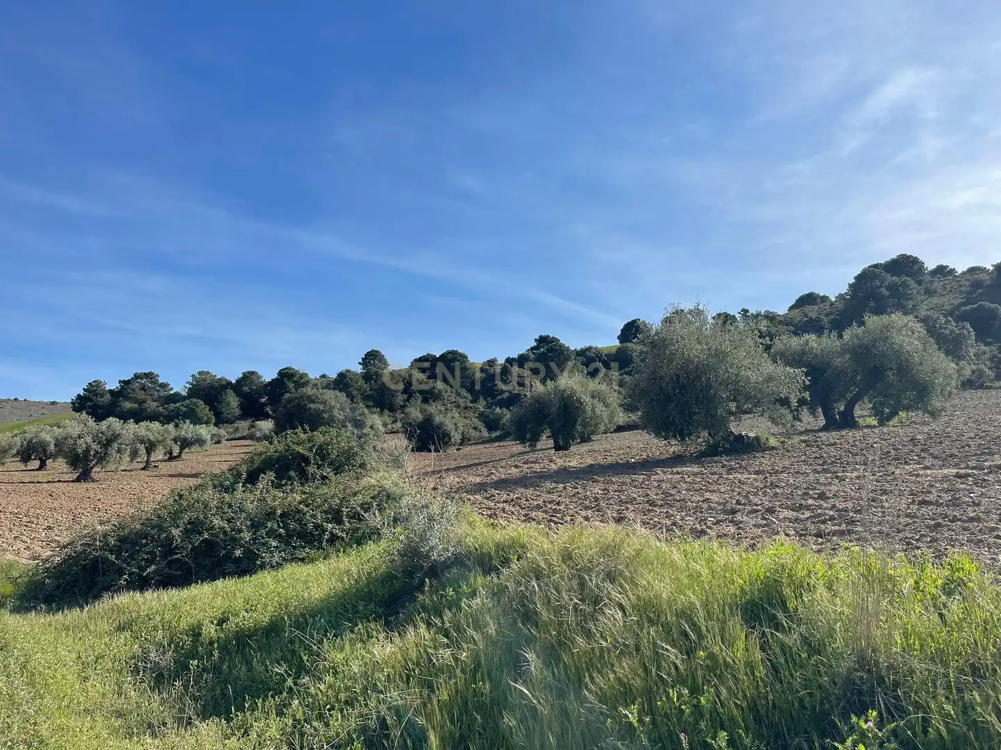 Casa o xalet en venda en La Zubia amb Jardí privat i Traster