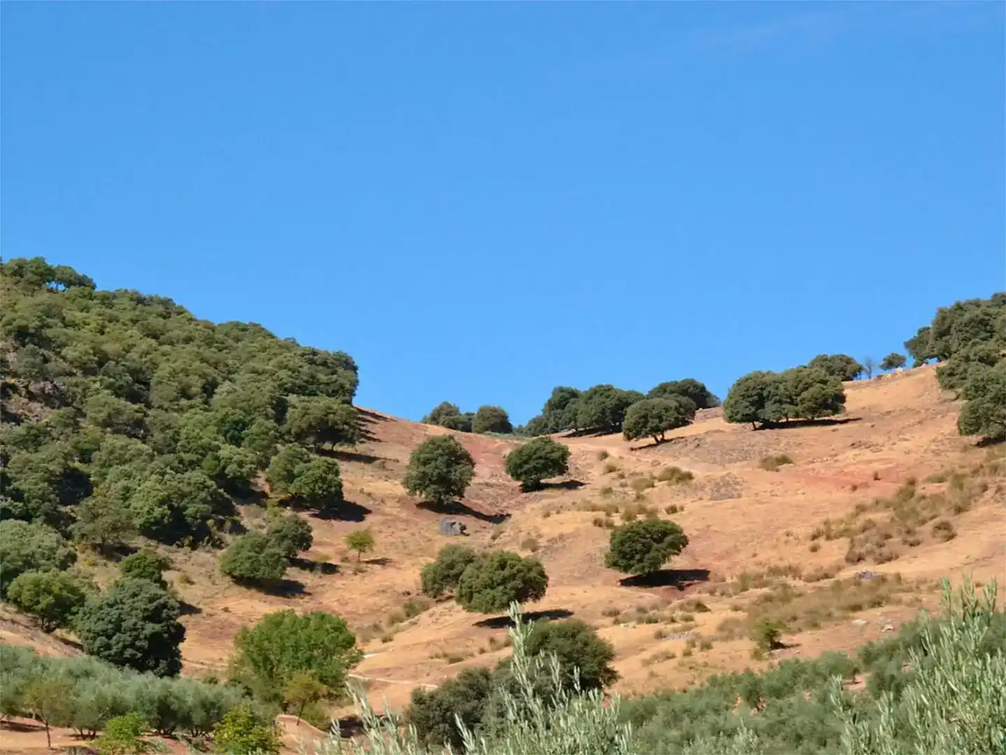 Außenansicht von Country house zum Verkauf in Valdepeñas de Jaén mit Schwimmbad