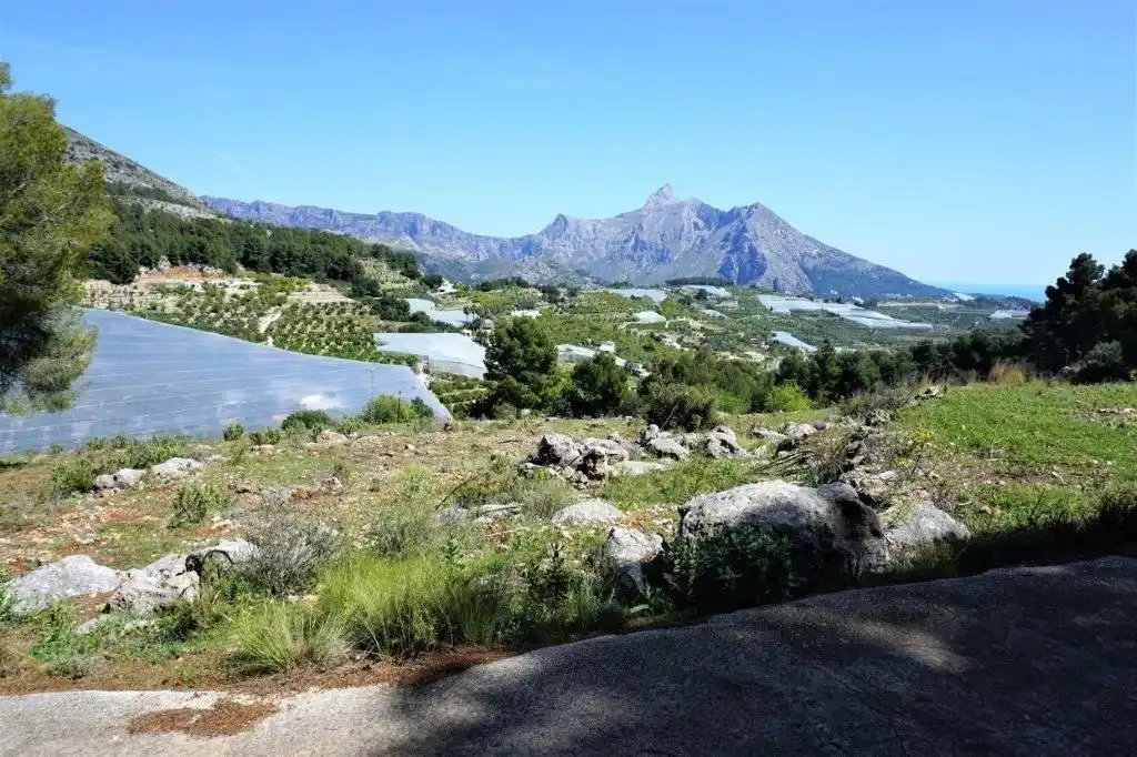 Terreny residencial en venda a Callosa d'en Sarrià, imagen 19