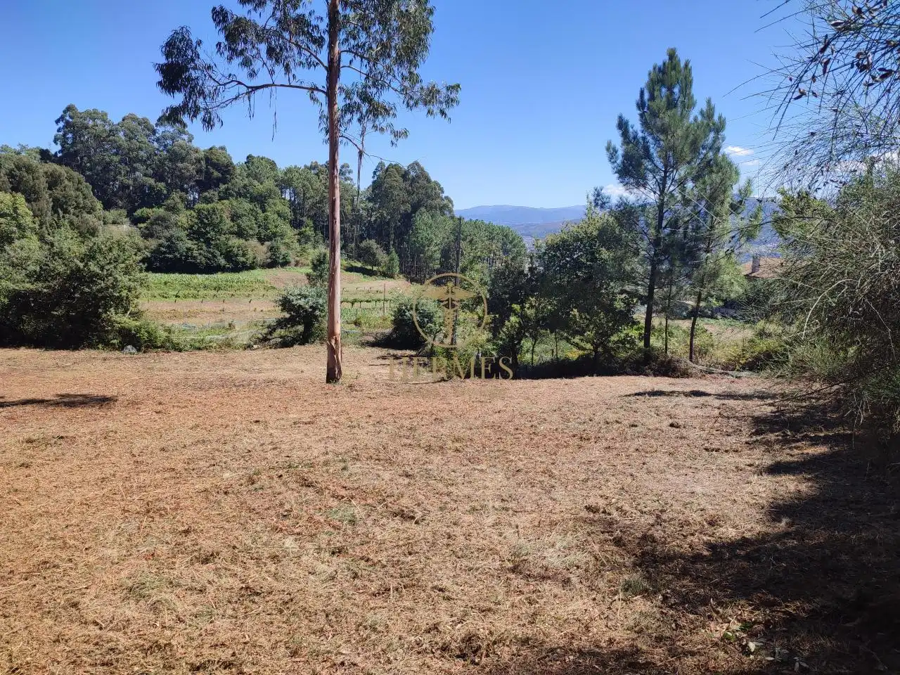 Terreno rustico in vendita a Tui, imagen 4