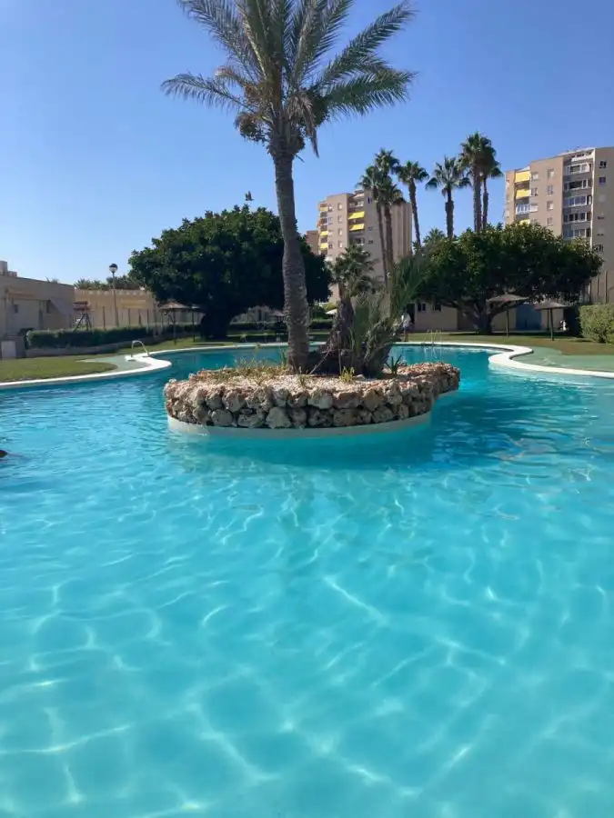 Apartments for rent in Calle del Músico Antón Roch, Agua Amarga - Urbanova