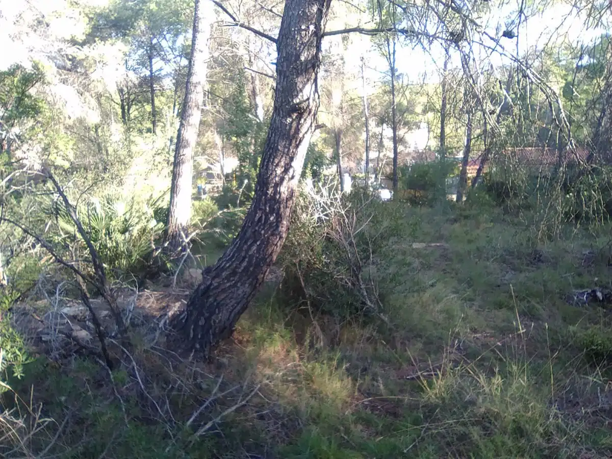 Terrenys i solars en venda a Estivella, imagen 10