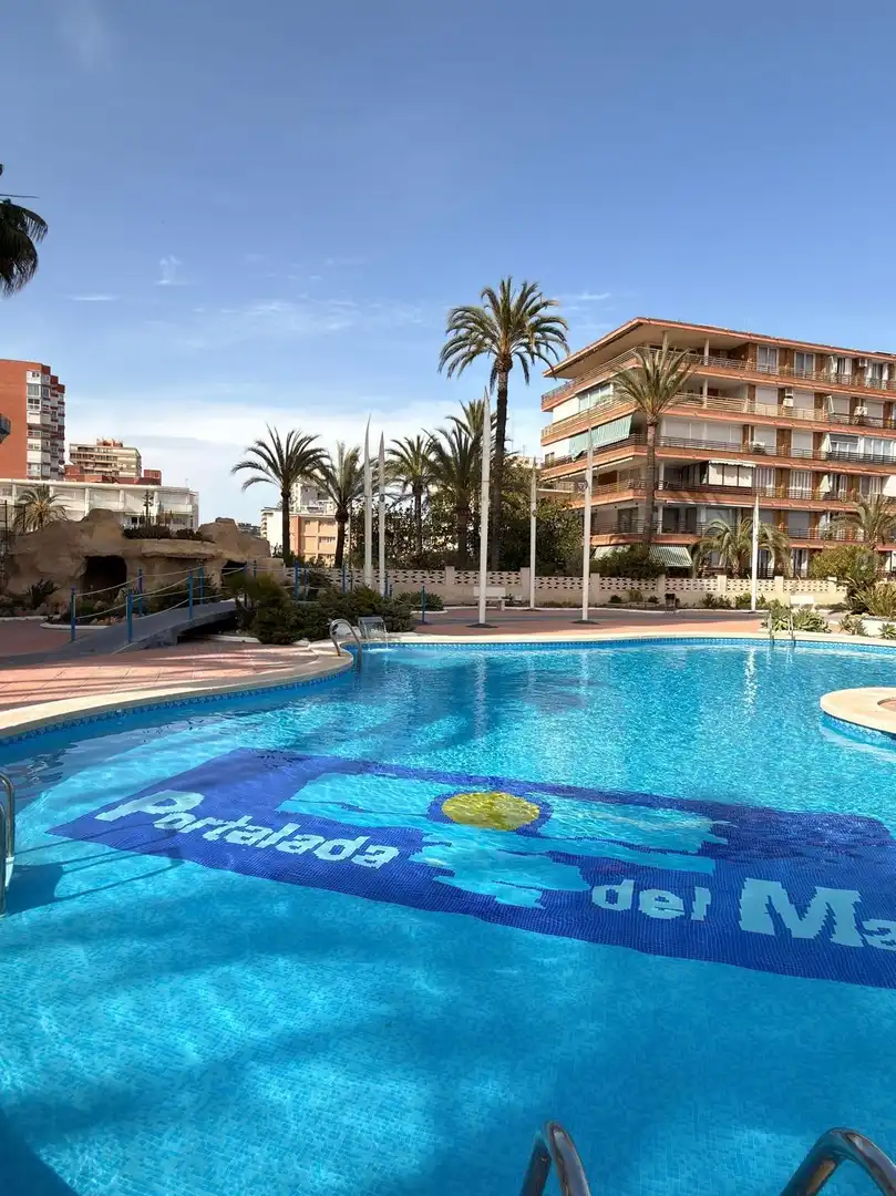 Swimming pool of Flat for rent in Alicante / Alacant  with Air Conditioner, Private garden and Terrace