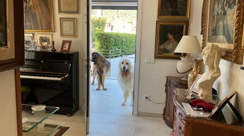 Alella:  casa amb piscina a un cop de cotxe del mar., imagen 2