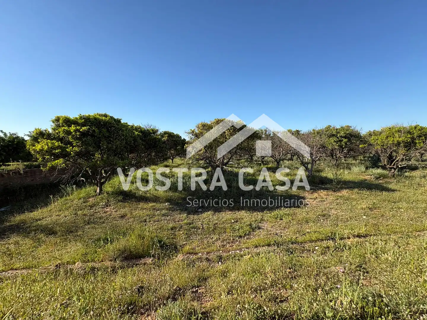 Land for sale in Chiva