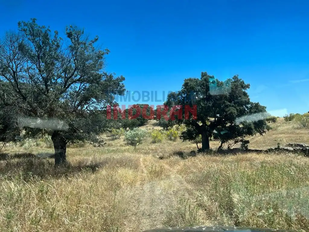 Finca rústica en venda en Alía