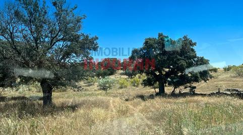 Foto 3 de Casa o xalet en venda a Alía, Cáceres