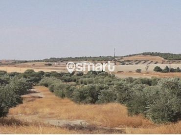Rural land for sale in Charles Darwin