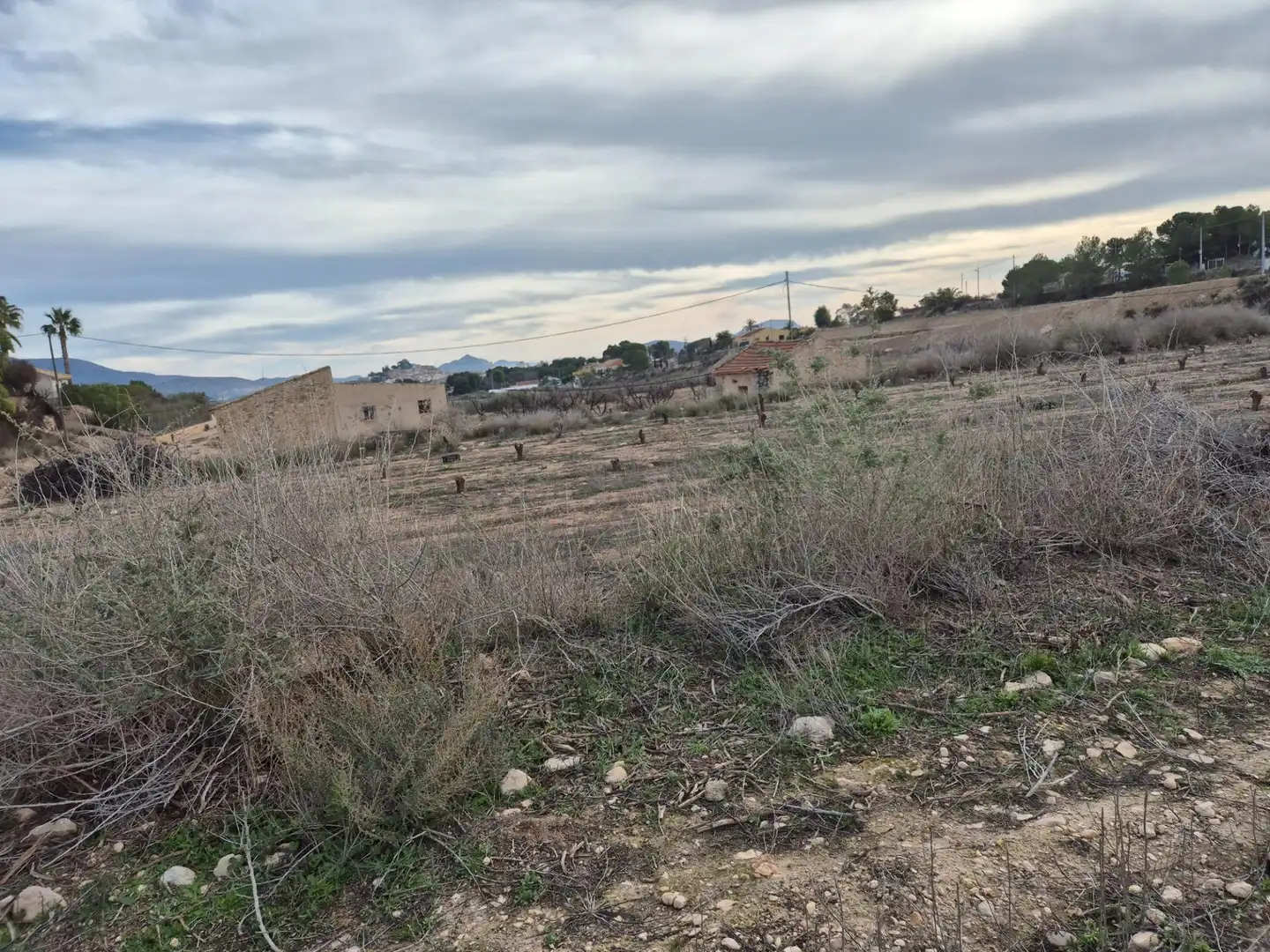 Terreny rústic en venda a Monóvar  / Monòver, imagen 20