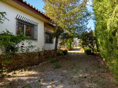 Jardí de Casa o xalet en venda en Guadix amb Aire condicionat, Calefacció i Jardí privat