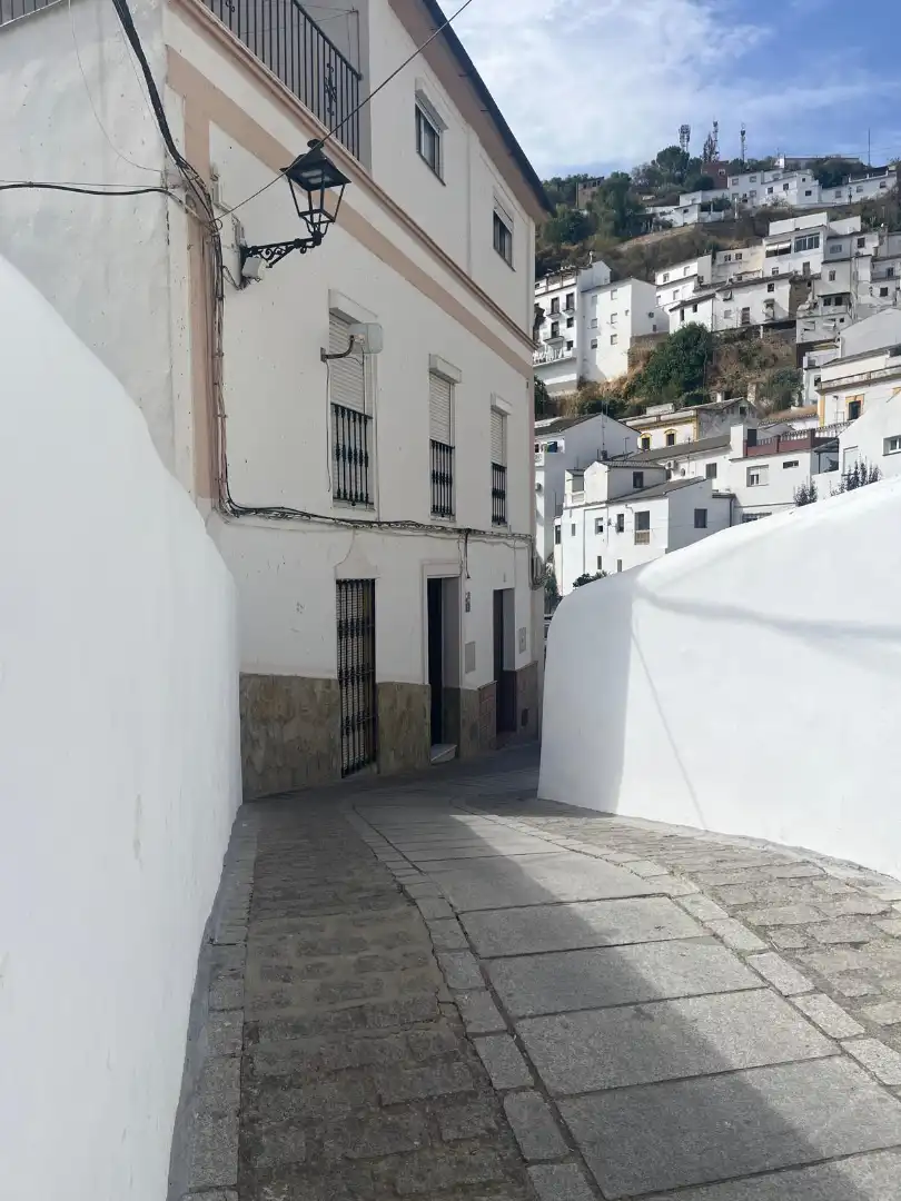 Vista exterior de Casa o chalet en venta en Setenil de las Bodegas con Jardín privado y Trastero