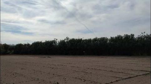 Foto 5 de Residencial en venda a Mareny de Barraquetes, Valencia