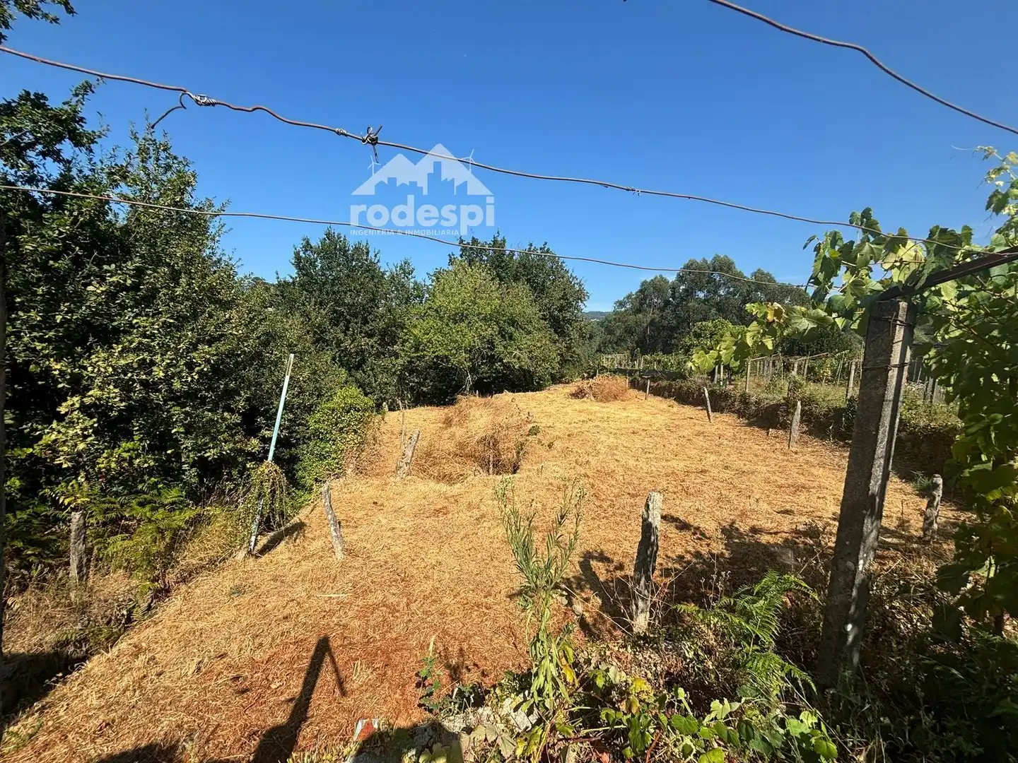 Houses for sale in Arbo