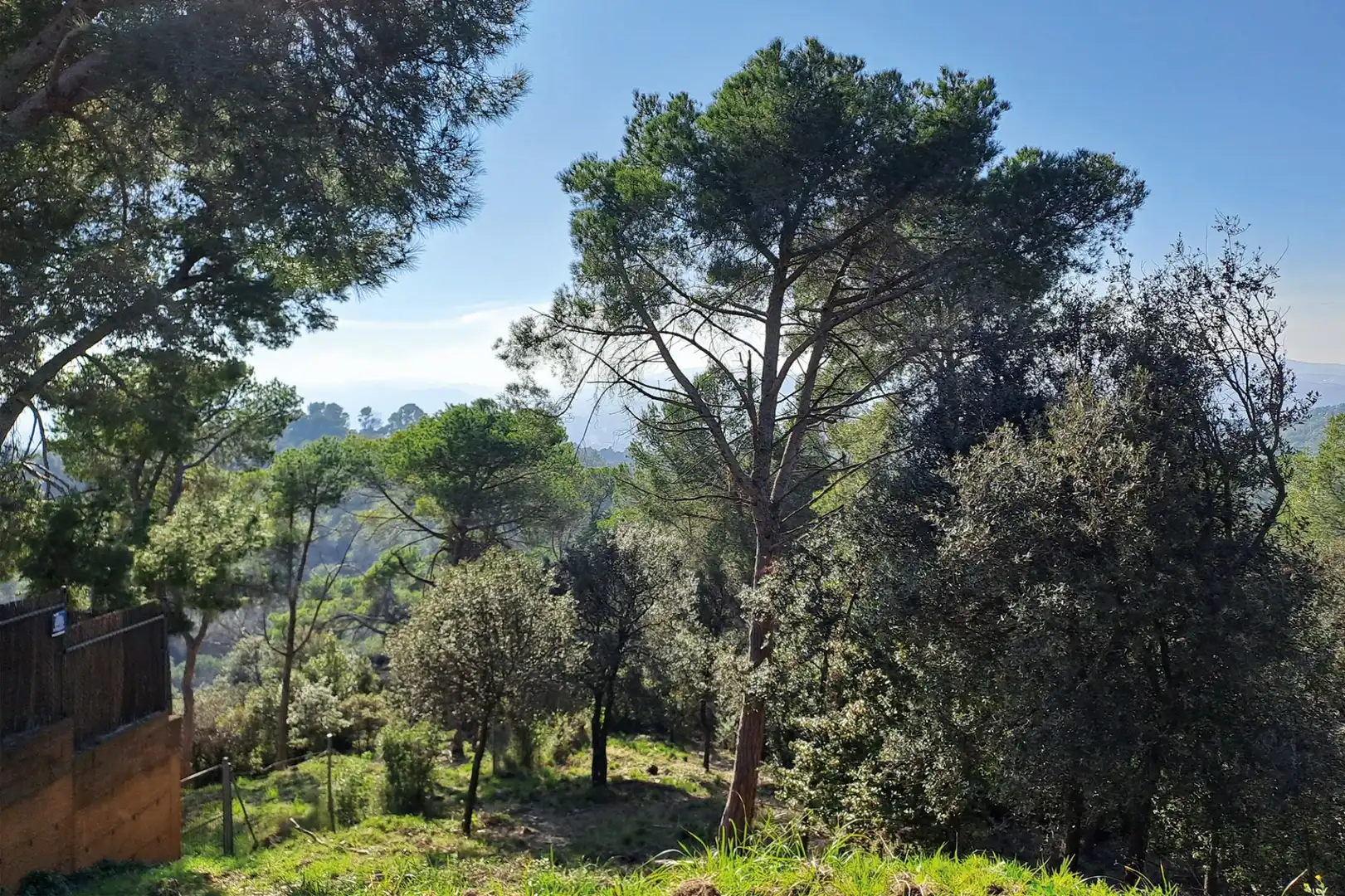 Lands and plots for sale in CANIGO, imagen 16