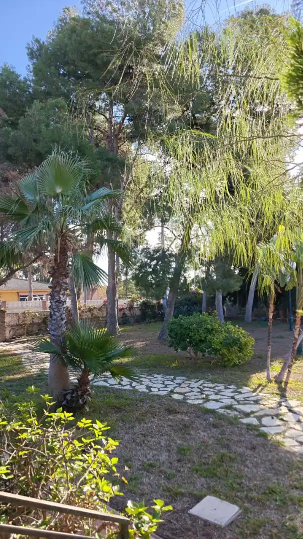 Jardín de Casa o chalet de alquiler en San Vicente del Raspeig / Sant Vicent del Raspeig con Aire acondicionado, Calefacción y Jardín privado