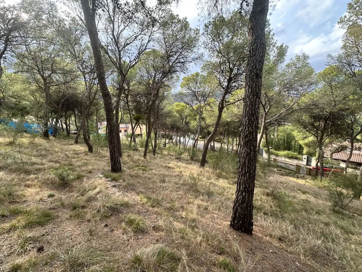 Wohnbaugrundstück zum Verkauf in Torres Torres, imagen 50