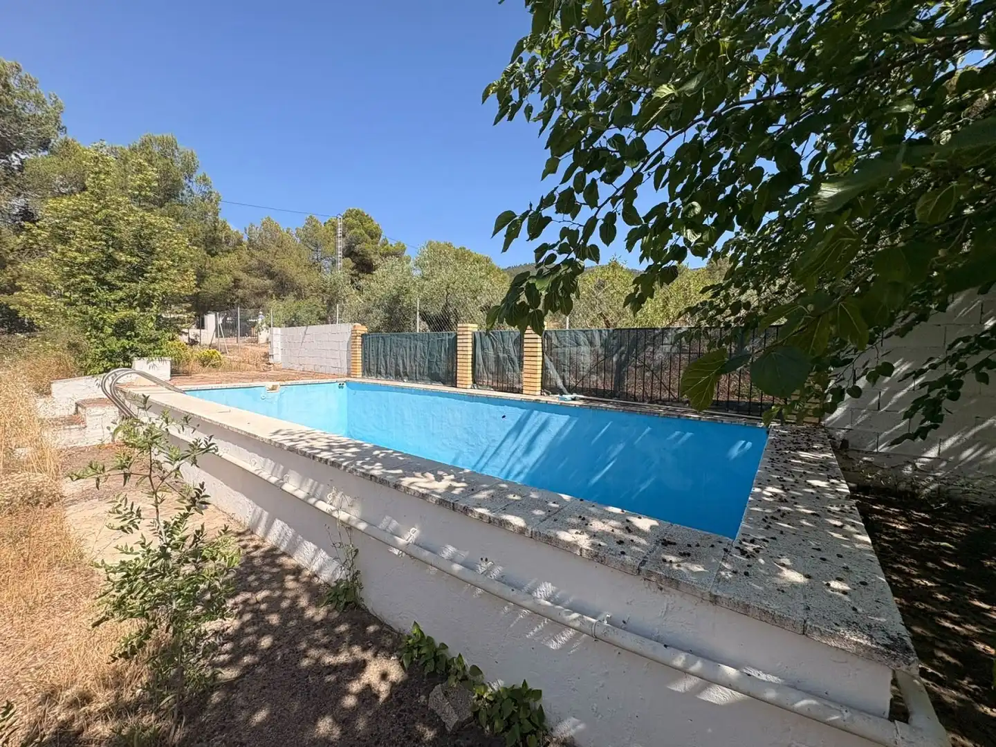 Piscina de Finca rústica en venda en Biar amb Terrassa