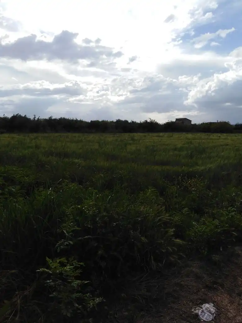 Terreny rústic en venda a Diseminado Vereda Palmeras 1, imagen 3