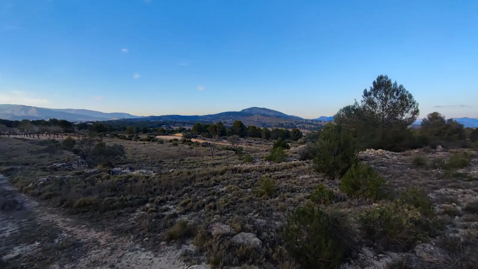 Terreno en venta en Monóvar  / Monòver