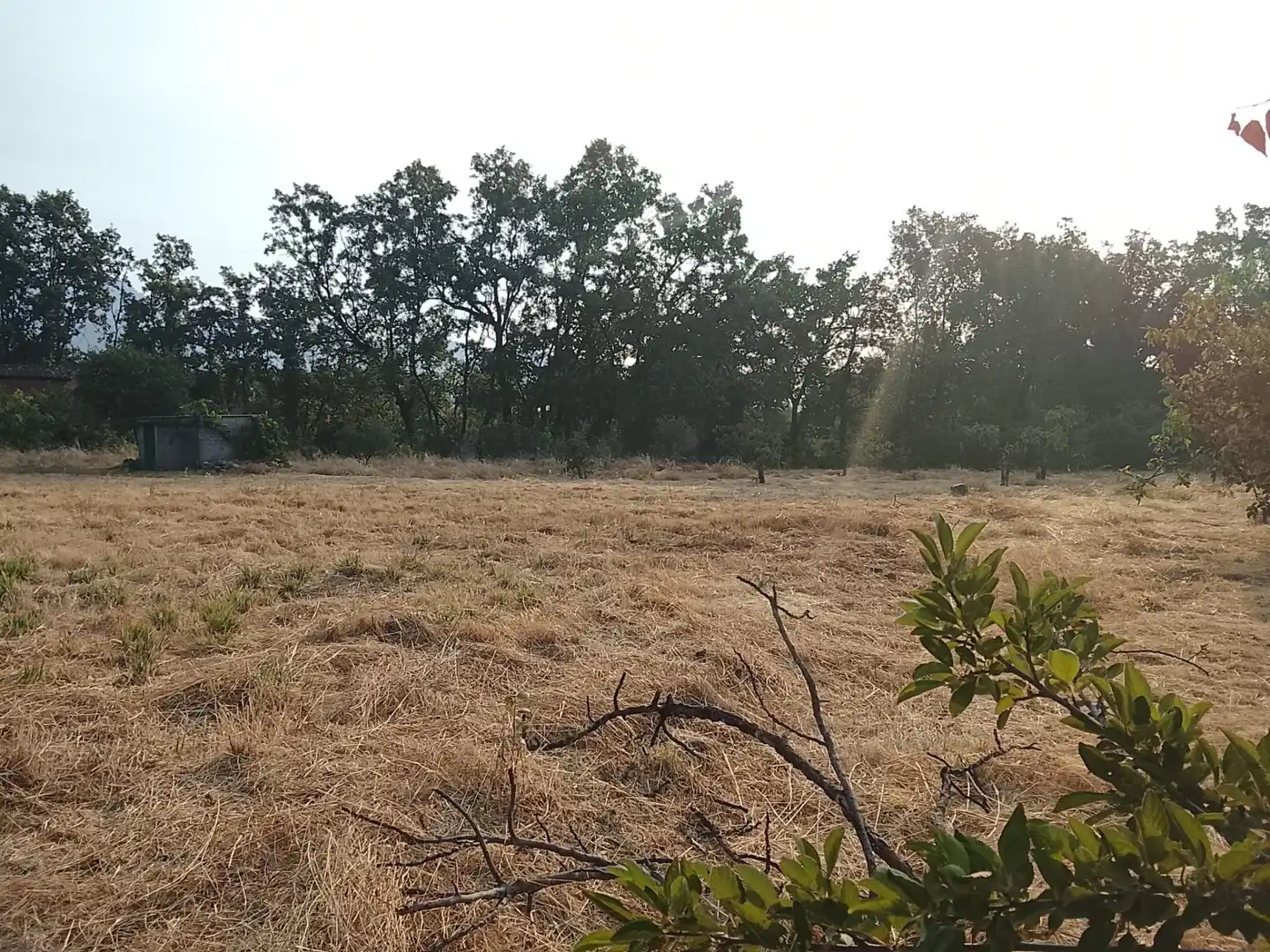 Terreni e lotti in vendita a Villanueva de la Vera, imagen 24
