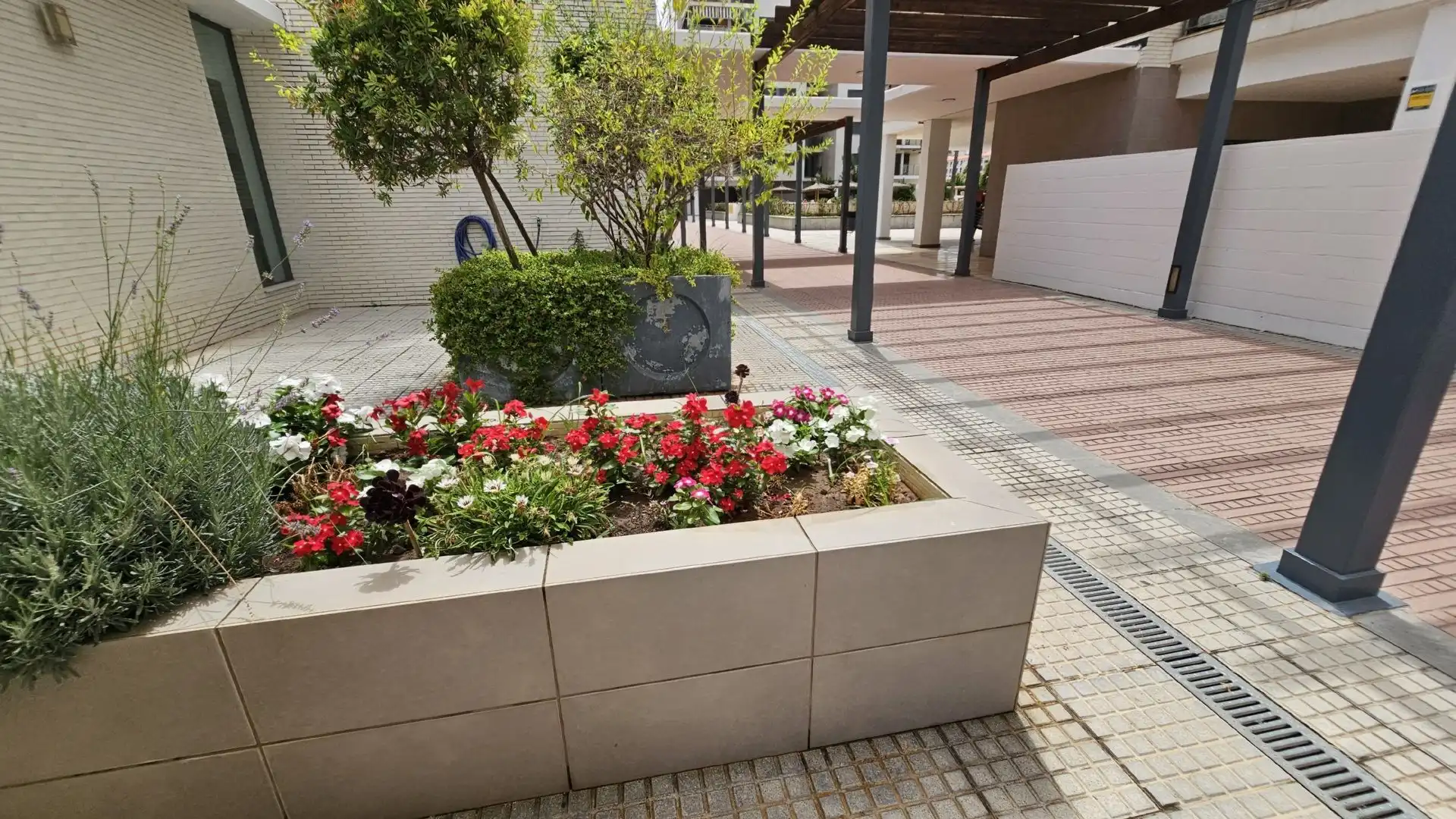 Apartamento con piscina en venta en Central 22, imagen 17