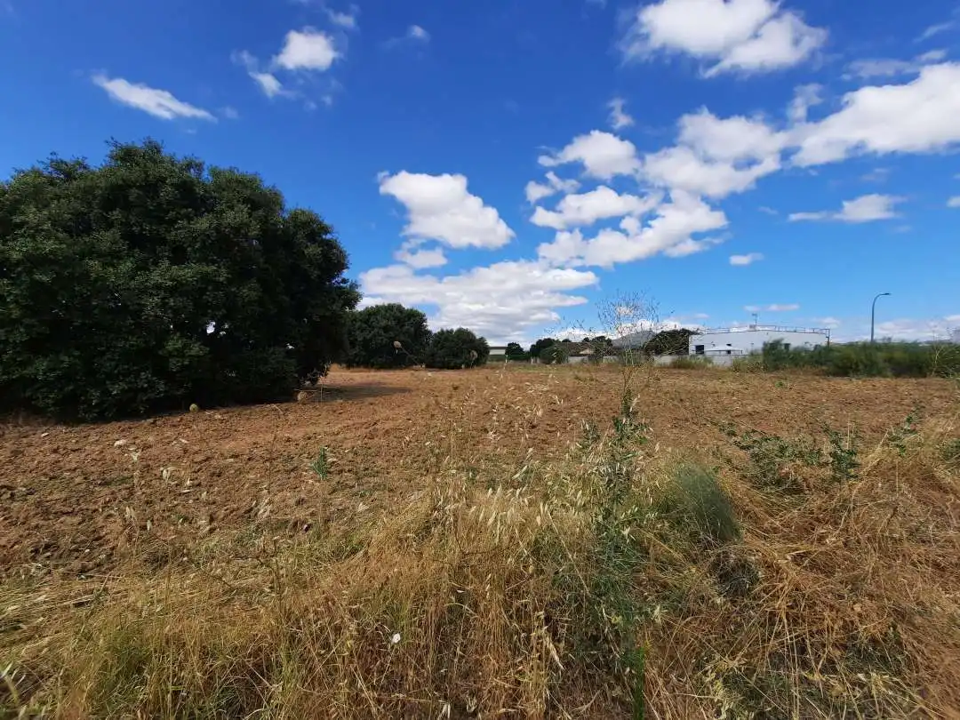 Terreno residencial en venta en Escalona, imagen 2