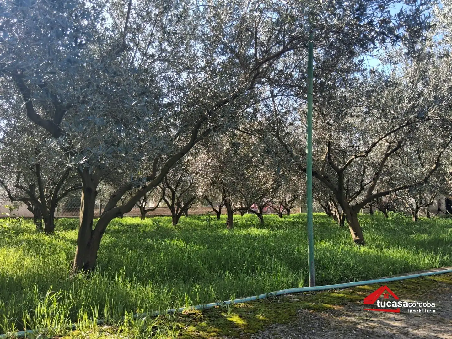 Jardí de Finca rústica en venda en Córdoba