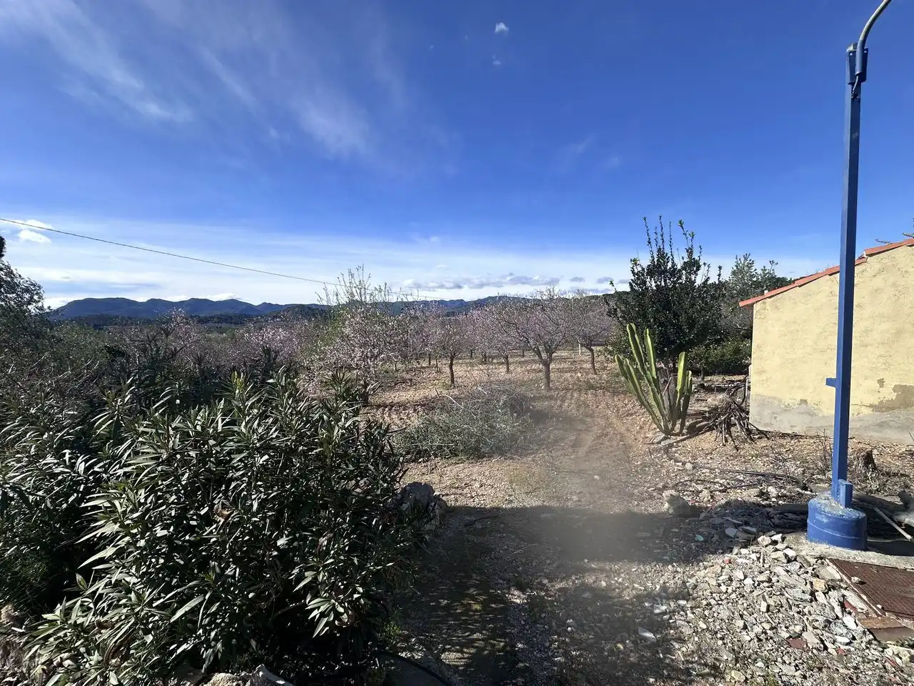 Casa en venta en Sagunto ciudad, imagen 3