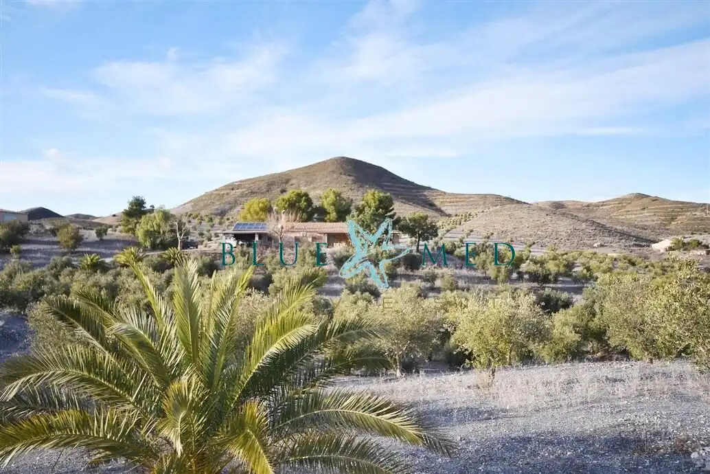 Maison à vendre à BEJAR, imagen 66