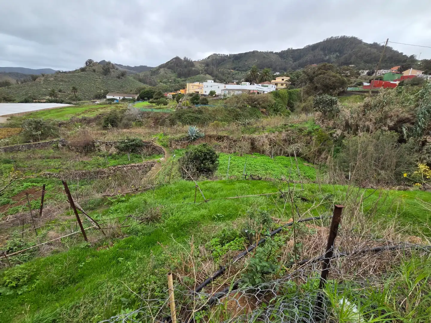 Finca rústica en venta en Tegueste