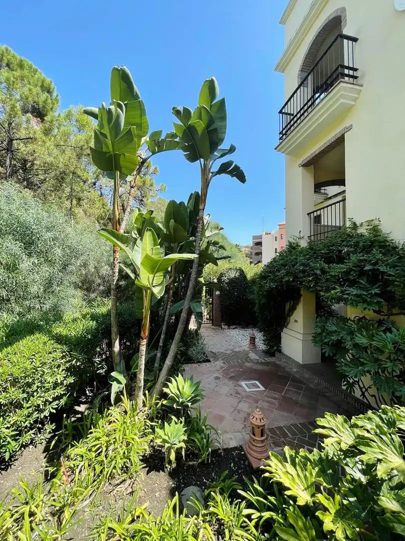 Apartament amb piscina en venda a Marbella Centro, imagen 9