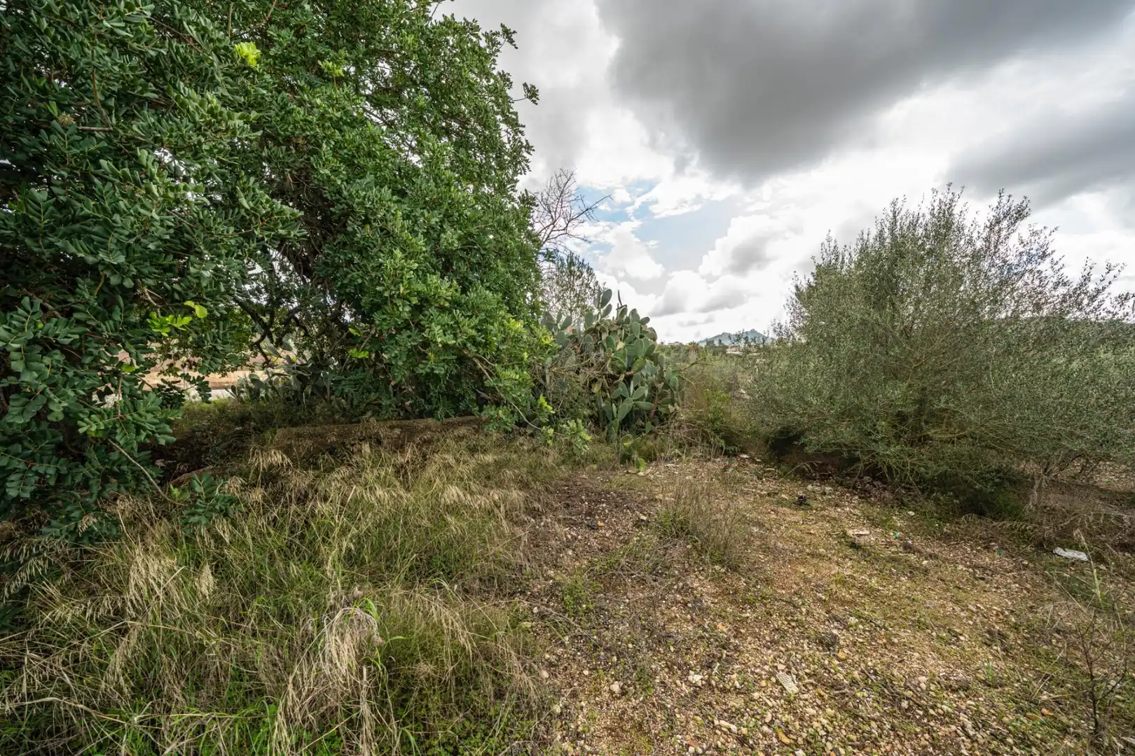 Rural land for sale in Felanitx Poble, imagen 10
